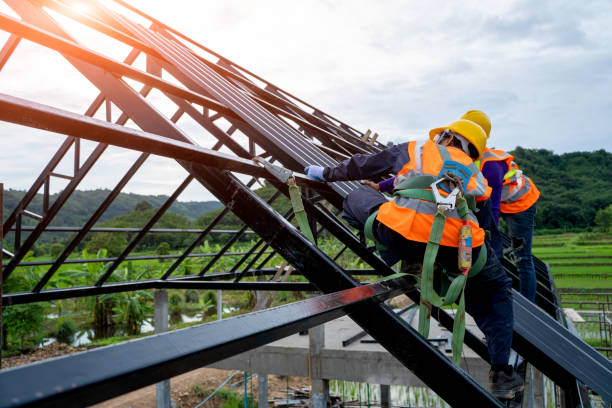 Best Roof Repair Services  in Mccullom Lake, IL