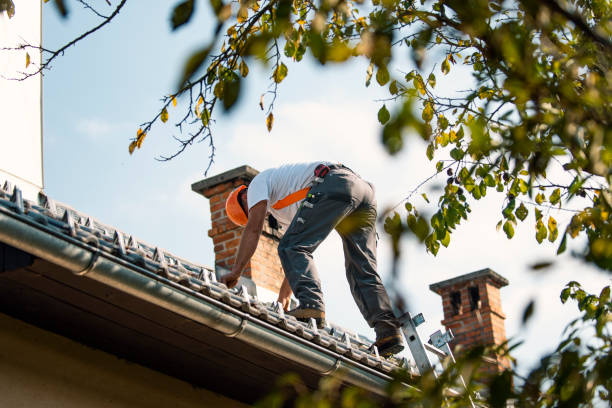Best Best Roofing Contractors  in Mccullom Lake, IL