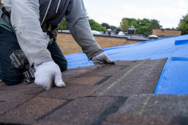 Professional Roofing Contractor in Mccullom Lake, IL
