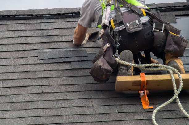 Best Roof Maintenance Services  in Mccullom Lake, IL